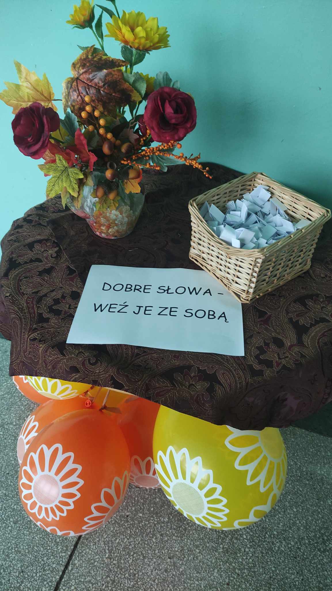 403669428 311360881706866 4349867088797677073 n