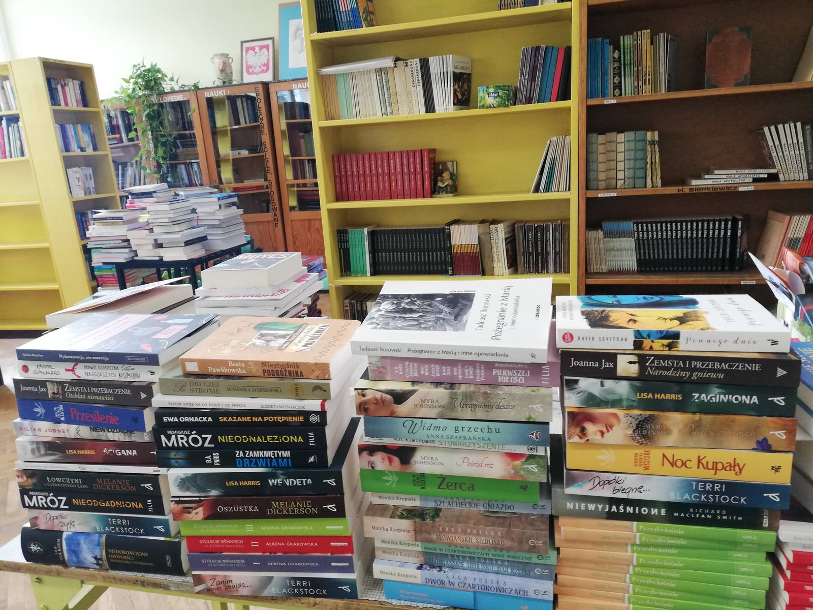 książki w bibliotece