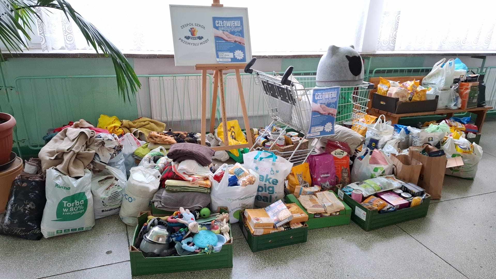 paczki dla zwierząt